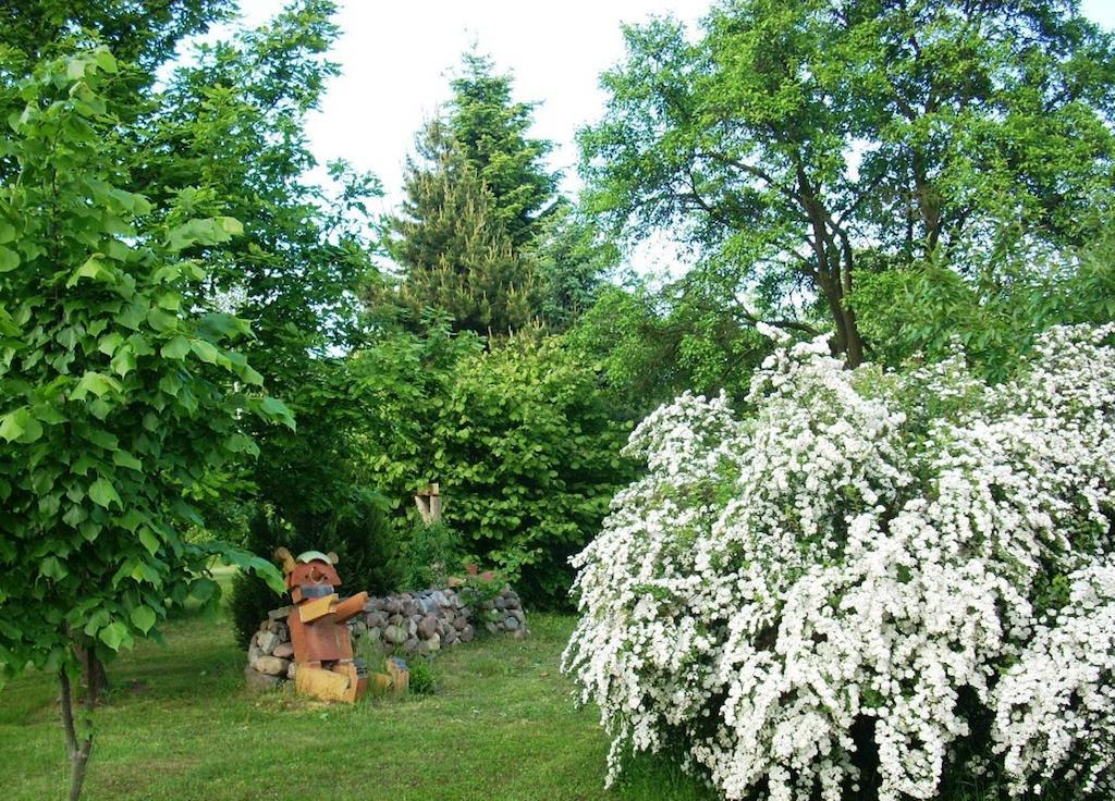 Ferienwohnung Marienkaefer Wulkow  Εξωτερικό φωτογραφία